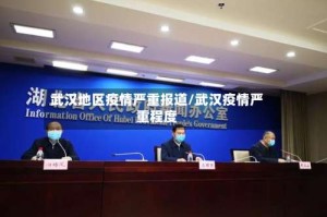 武汉地区疫情严重报道/武汉疫情严重程度