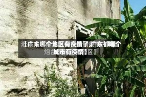 【广东哪个地区有疫情了,广东都哪个城市有疫情】