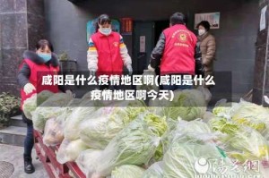 咸阳是什么疫情地区啊(咸阳是什么疫情地区啊今天)