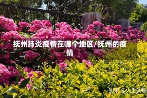 抚州肺炎疫情在哪个地区/抚州的疫情
