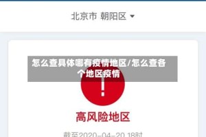 怎么查具体哪有疫情地区/怎么查各个地区疫情