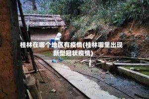 桂林在哪个地区有疫情(桂林哪里出现新型冠状疫情)