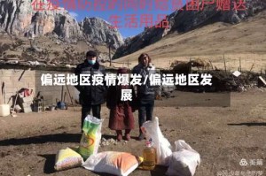 偏远地区疫情爆发/偏远地区发展