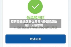 疫情降级地区什么意思/疫情降级地区什么意思啊
