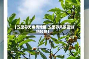 【五里界无疫情地区,五里界风景区游玩攻略】