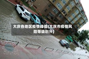 大庆各地区疫情峰值(大庆市疫情风险等级划分)