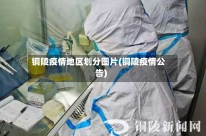 铜陵疫情地区划分图片(铜陵疫情公告)