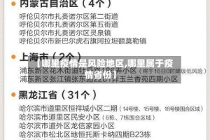 【哪里疫情是风险地区,哪里属于疫情省份】