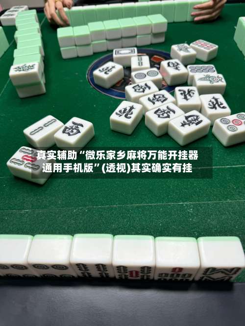 真实辅助“微乐家乡麻将万能开挂器通用手机版”(透视)其实确实有挂-第2张图片