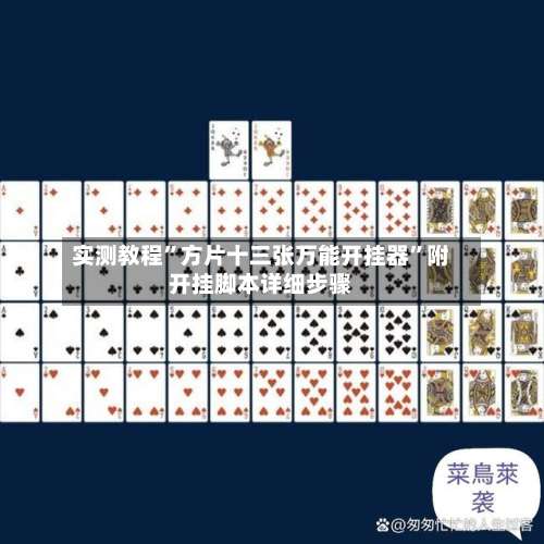 实测教程	”方片十三张万能开挂器”附开挂脚本详细步骤-第2张图片