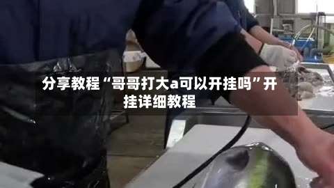 分享教程“哥哥打大a可以开挂吗	”开挂详细教程-第1张图片