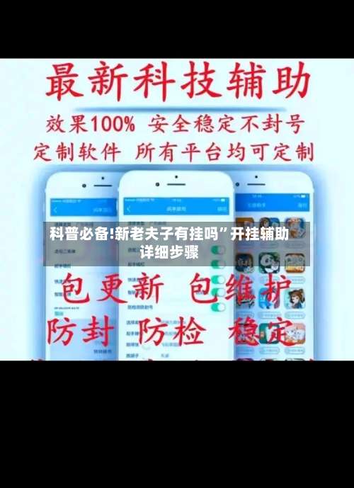 科普必备!新老夫子有挂吗”开挂辅助详细步骤-第3张图片