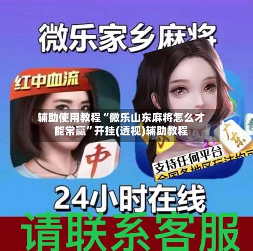 辅助使用教程“微乐山东麻将怎么才能常赢	”开挂(透视)辅助教程-第1张图片