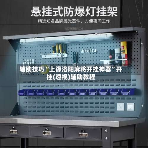 辅助技巧“上豫洛阳麻将开挂神器”开挂(透视)辅助教程-第2张图片