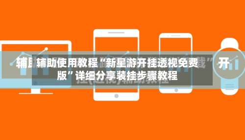 辅助使用教程“新星游开挂透视免费版”详细分享装挂步骤教程-第1张图片