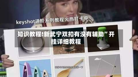 知识教程!新武宁双扣有没有辅助”开挂详细教程-第2张图片