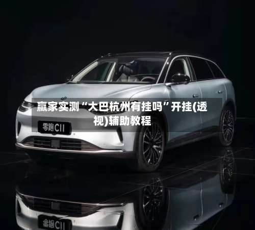 赢家实测“大巴杭州有挂吗	”开挂(透视)辅助教程-第2张图片