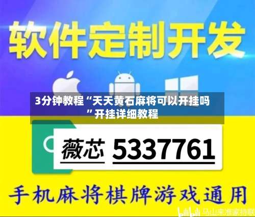 3分钟教程“天天黄石麻将可以开挂吗”开挂详细教程-第3张图片