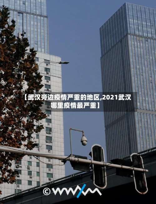 【武汉旁边疫情严重的地区,2021武汉哪里疫情最严重】-第2张图片