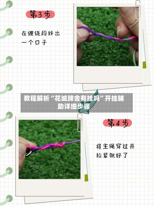 教程解析“花城牌舍有挂吗”开挂辅助详细步骤-第3张图片