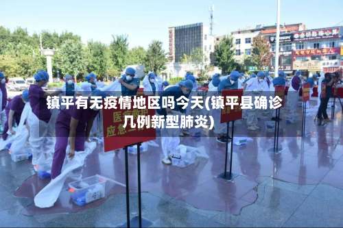 镇平有无疫情地区吗今天(镇平县确诊几例新型肺炎)-第2张图片