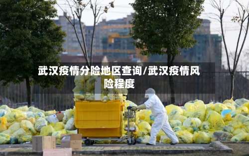 武汉疫情分险地区查询/武汉疫情风险程度-第1张图片