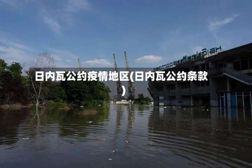 日内瓦公约疫情地区(日内瓦公约条款)-第1张图片