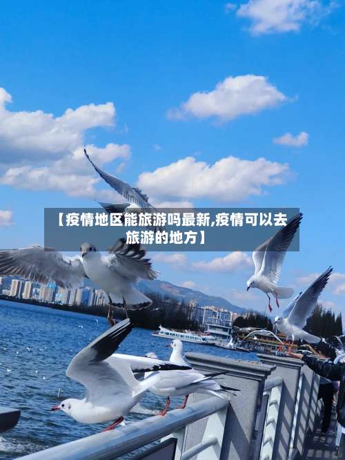 【疫情地区能旅游吗最新,疫情可以去旅游的地方】-第1张图片