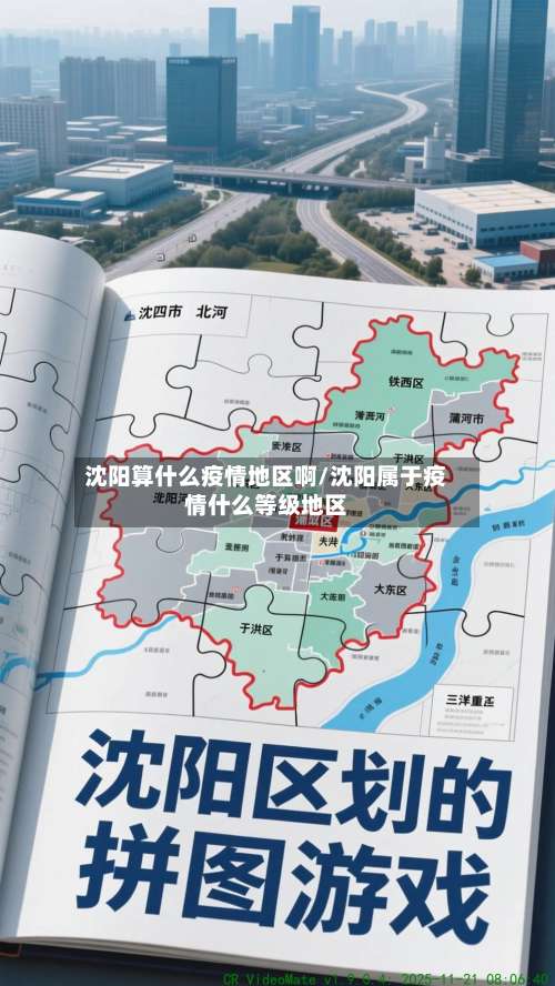 沈阳算什么疫情地区啊/沈阳属于疫情什么等级地区-第2张图片