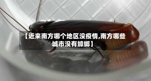 【近来南方哪个地区没疫情,南方哪些城市没有蟑螂】-第2张图片