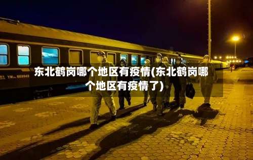 东北鹤岗哪个地区有疫情(东北鹤岗哪个地区有疫情了)-第1张图片