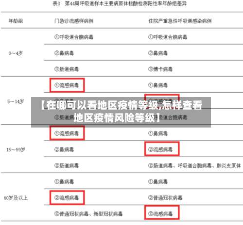 【在哪可以看地区疫情等级,怎样查看地区疫情风险等级】-第2张图片