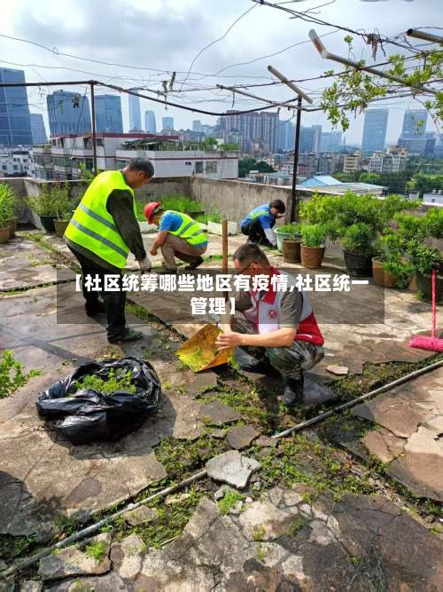 【社区统筹哪些地区有疫情,社区统一管理】-第1张图片