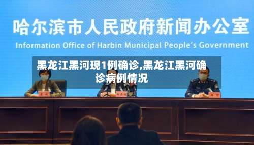 黑龙江黑河现1例确诊,黑龙江黑河确诊病例情况-第3张图片