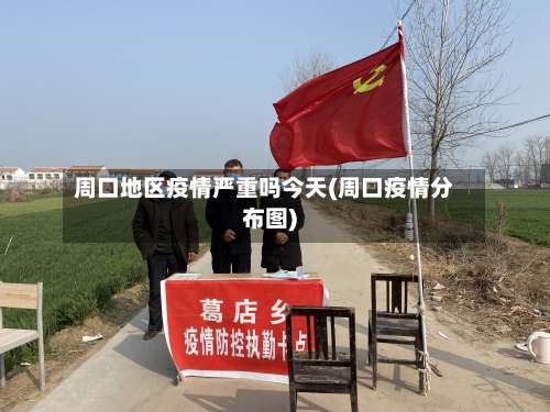 周口地区疫情严重吗今天(周口疫情分布图)-第2张图片
