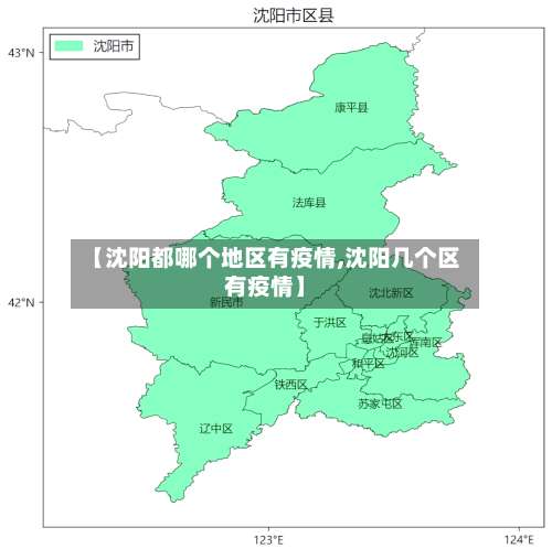 【沈阳都哪个地区有疫情,沈阳几个区有疫情】-第3张图片