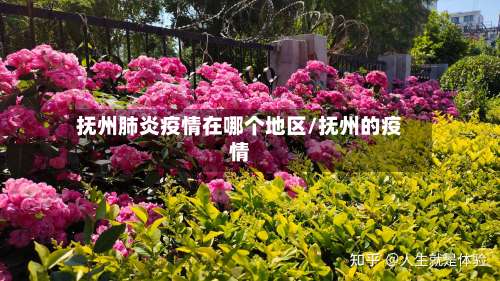 抚州肺炎疫情在哪个地区/抚州的疫情-第1张图片