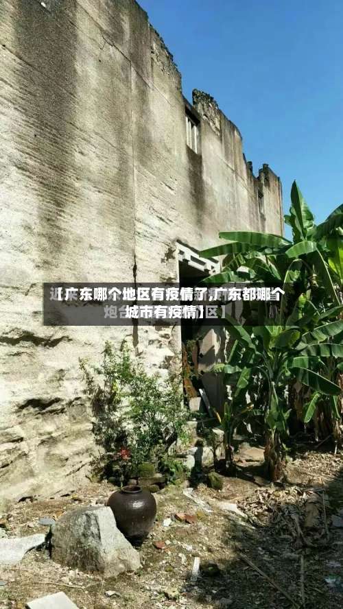 【广东哪个地区有疫情了,广东都哪个城市有疫情】-第1张图片