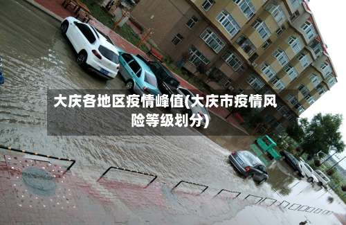 大庆各地区疫情峰值(大庆市疫情风险等级划分)-第1张图片