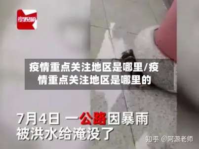 疫情重点关注地区是哪里/疫情重点关注地区是哪里的-第2张图片