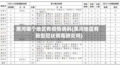 黑河哪个地区有疫情病例(黑河地区有新型冠状病毒肺炎吗)-第2张图片